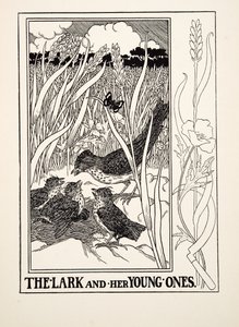 Skowronek i jej młodzieńcy, z Stu bajek Ezopa, wyd. 1903 (rycina) autorstwa Percy J. Billingshurst