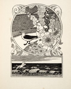 Oswojona mewa, z „Stu anegdot zwierząt”, wyd. 1924 (grawerowanie) autorstwa Percy J. Billingshurst
