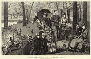 Karmienie pawi w Kensington Gardens (ryty) autorstwa Percy Macquoid