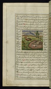 Szakal pożera zająca ze Świateł Canopus, 1847 autorstwa Persian School