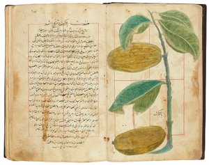 Hassan Bin Baqir Bin Jarrah: Ghalzar Al-Raihain, Qajar Iran autorstwa Persian School