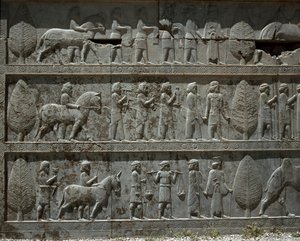 Uległe ludy ofiarowują dary Dariuszowi I. Płaskorzeźby wschodnich schodów Apadany, VI wiek p.n.e. autorstwa Persian School