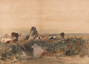 Bydło nad strumieniem