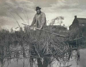 Powrót do domu z bagien, życie i krajobraz na Norfolk Broads, 1886 autorstwa Peter Emerson und Thomas Goodall