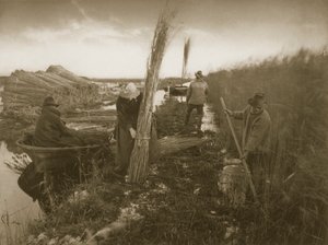Podczas żniw trzcinowych, życia i krajobrazu na Norfolk Broads, c.1886