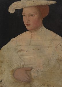 Maria Margravine z Brandenburgii