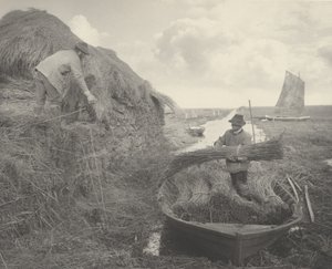 Ricking the Reed, 1886. Twórcy: Dr Peter Henry Emerson, Thomas Frederick Goodall. autorstwa Peter Henry Emerson, Thomas Frederick Goodall