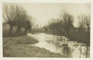 Backwater on the Lea autorstwa Peter Henry Emerson