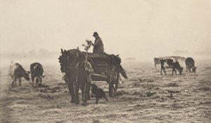 Mroźny poranek autorstwa Peter Henry Emerson