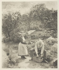 Koniec ogrodu (Suffolk) autorstwa Peter Henry Emerson