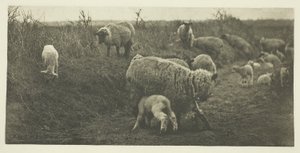 Marsz duszpasterski (Suffolk) autorstwa Peter Henry Emerson