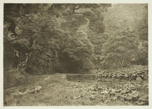 Cichy zakątek w Beresford Dale autorstwa Peter Henry Emerson
