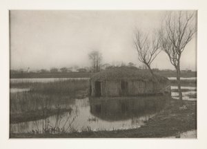 Szklarnia trzcinowa, tablica XXXI z życia i krajobrazu na deskach Norfolk autorstwa Peter Henry Emerson
