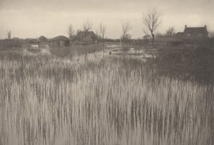A Rushy Shore, 1886 (zdjęcie) autorstwa Peter Henry Emerson