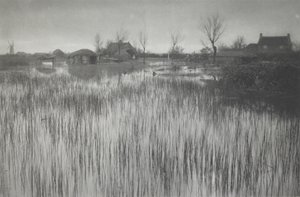 Szorstki brzeg autorstwa Peter Henry Emerson