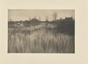 Szorstki brzeg autorstwa Peter Henry Emerson