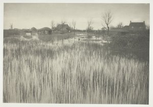 Szorstki brzeg autorstwa Peter Henry Emerson