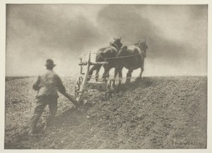 Sztywne pociągnięcie (Suffolk) autorstwa Peter Henry Emerson
