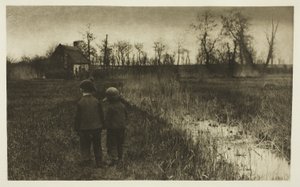 Ropucha na drodze: wczesna wiosna w Norfolk autorstwa Peter Henry Emerson