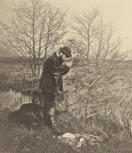 W ukrytym zakątku. [Norfolk]. autorstwa Peter Henry Emerson