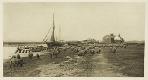 Czarny Brzeg, Rzeka Blythe (Suffolk) autorstwa Peter Henry Emerson