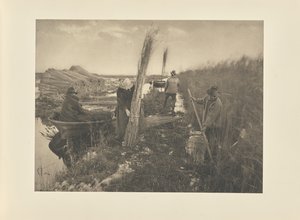 Podczas zbiorów trzciny autorstwa Peter Henry Emerson