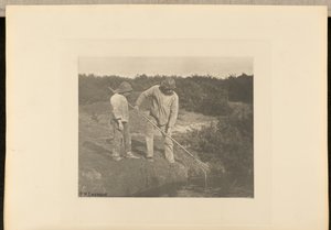 WęgorzPicking w wodach Suffolk autorstwa Peter Henry Emerson