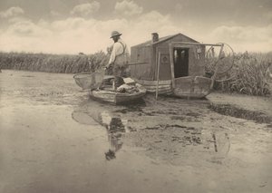  autorstwa Peter Henry Emerson