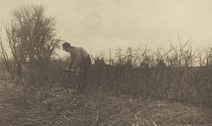 Ogrodzenia w Suffolk autorstwa Peter Henry Emerson