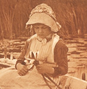 Blumen des Sees autorstwa Peter Henry Emerson