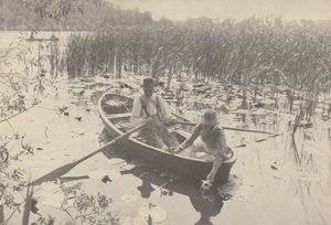 Zbieranie lilii wodnych, 1886 (zdjęcie) autorstwa Peter Henry Emerson