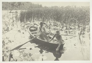 Zbieranie Lilii Wodnych autorstwa Peter Henry Emerson