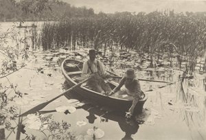 Zbieranie lilii wodnych autorstwa Peter Henry Emerson