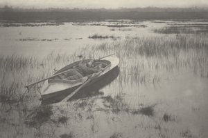 Strzelec pracujący przy ptactwie, 1886 r. (zdjęcie) autorstwa Peter Henry Emerson