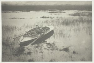 Gunner pracujący do Fowl autorstwa Peter Henry Emerson