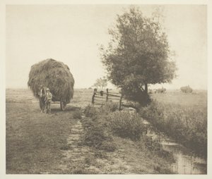 W Haysel (Norfolk) autorstwa Peter Henry Emerson