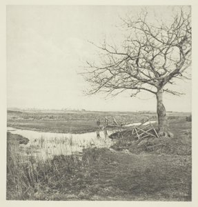 Marsz bezlistny (Suffolk) autorstwa Peter Henry Emerson