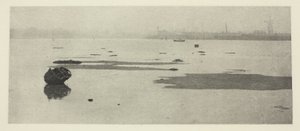 Niska woda na Breydonie autorstwa Peter Henry Emerson