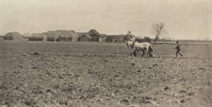 Gospodarstwo bagienne wczesną wiosną autorstwa Peter Henry Emerson