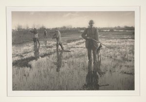 Mężczyźni polujący na bagnach autorstwa Peter Henry Emerson