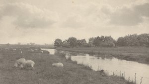 Na rzece Bure, 1886 (zdjęcie) autorstwa Peter Henry Emerson