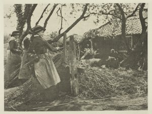 Osier-Peeling (Norfolk) autorstwa Peter Henry Emerson