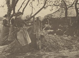 OsierPeeling. [Norfolk]]. autorstwa Peter Henry Emerson