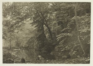 "Pike Pool" (od dołu) autorstwa Peter Henry Emerson
