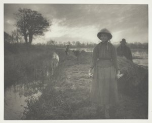 Polowanie na siano z bagien autorstwa Peter Henry Emerson