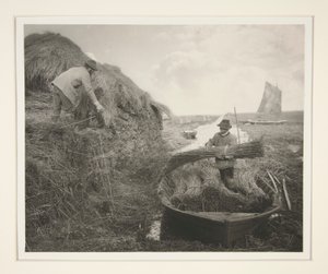 Ricking the Reed autorstwa Peter Henry Emerson