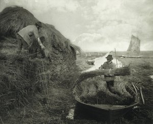 Układanie trzcin w stogi autorstwa Peter Henry Emerson