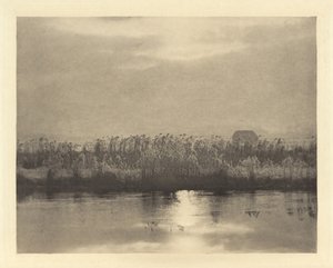 Kryształy szronu autorstwa Peter Henry Emerson