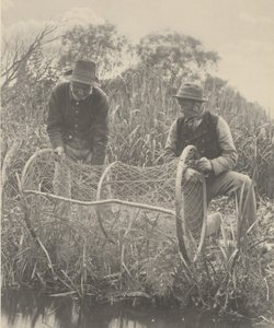 Konfiguracja Bow-Net autorstwa Peter Henry Emerson