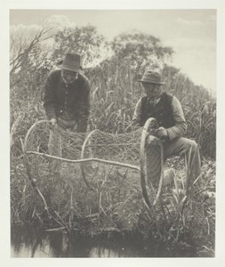 Konfiguracja sieci łukowej autorstwa Peter Henry Emerson